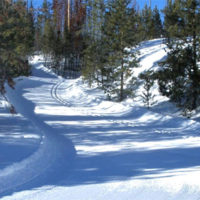 A snowy path through the woods on a sunny day.