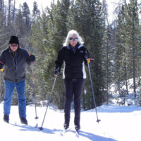 Two people skiing on a snowy slope near trees.