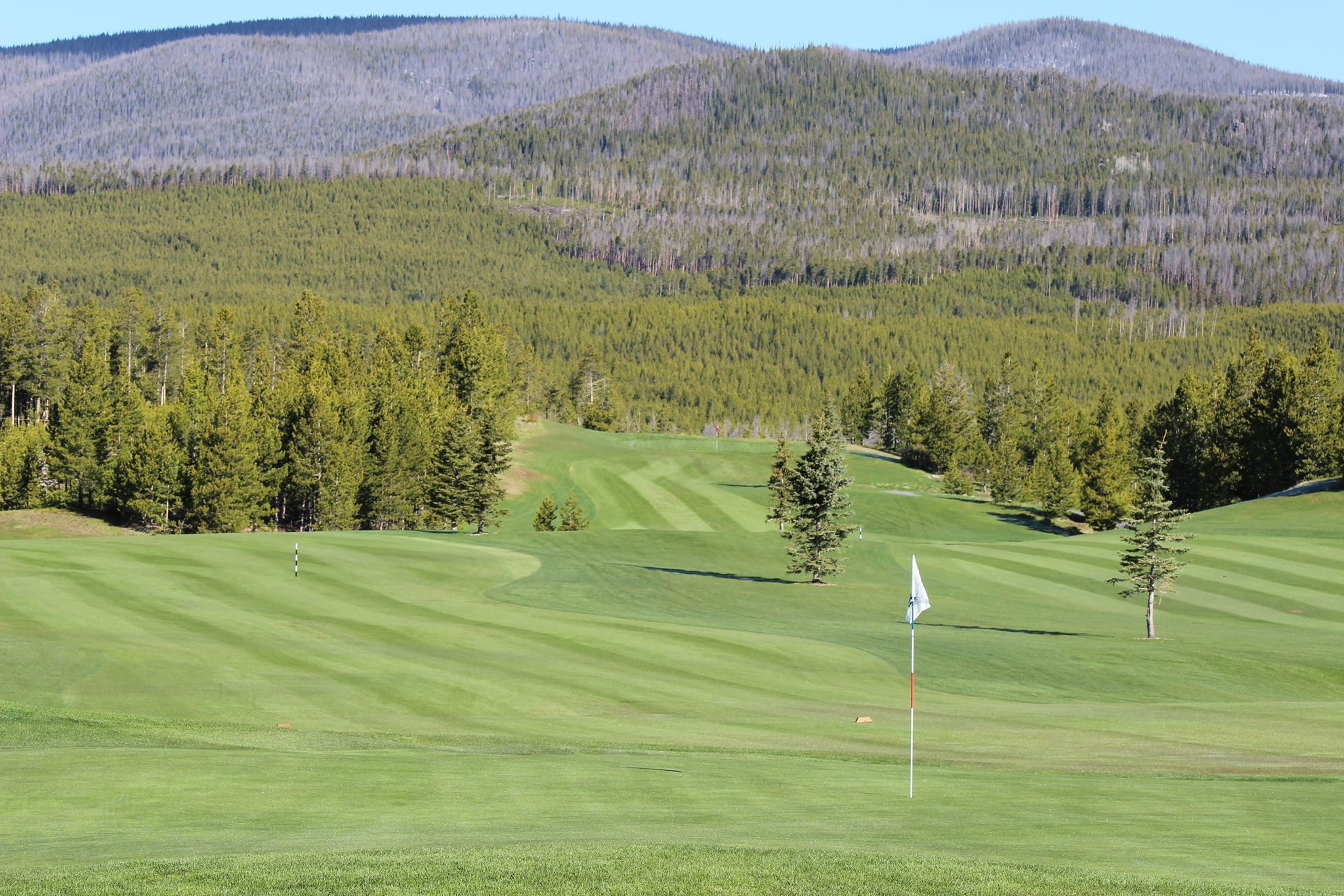 A golf course with trees and mountains in the background.