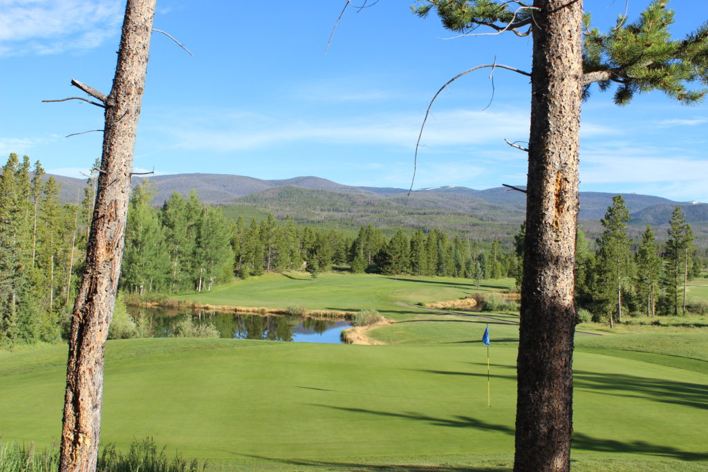 A golf course with trees and water in the background.