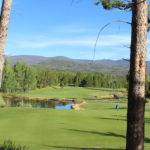 A golf course with trees and water in the background.