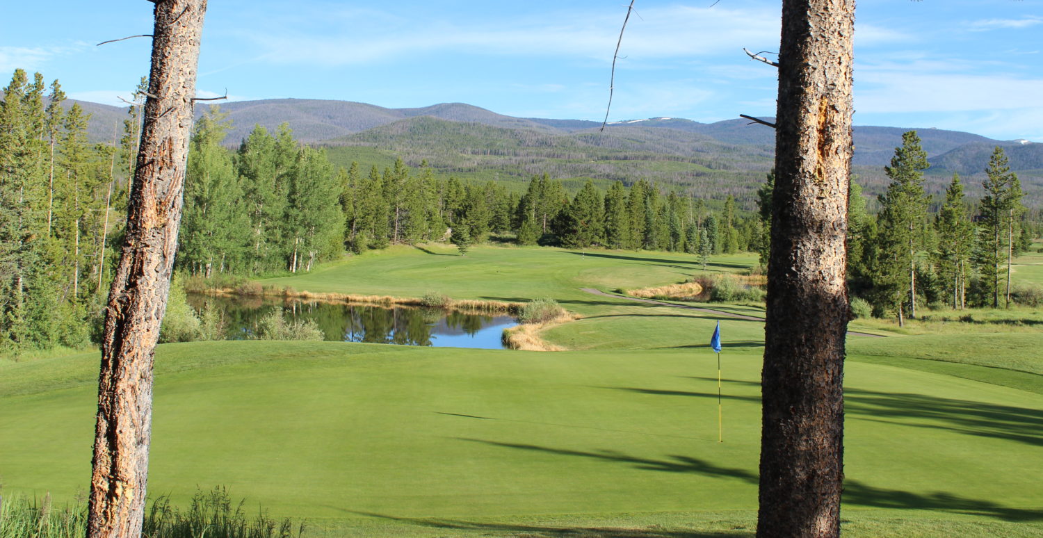 A view of a golf course with trees in the background.
