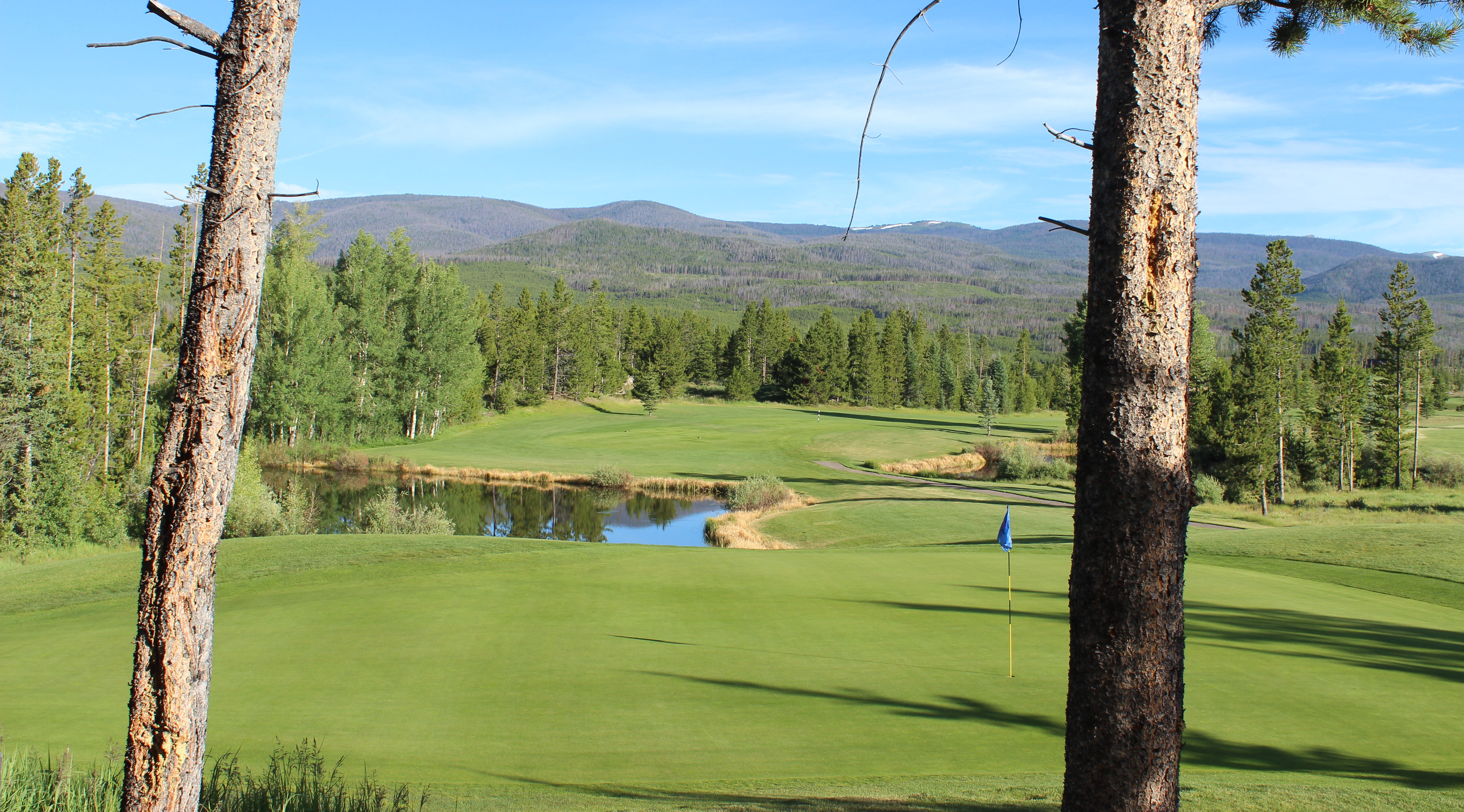 A view of a golf course with trees and water.