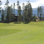 A green field with trees in the background