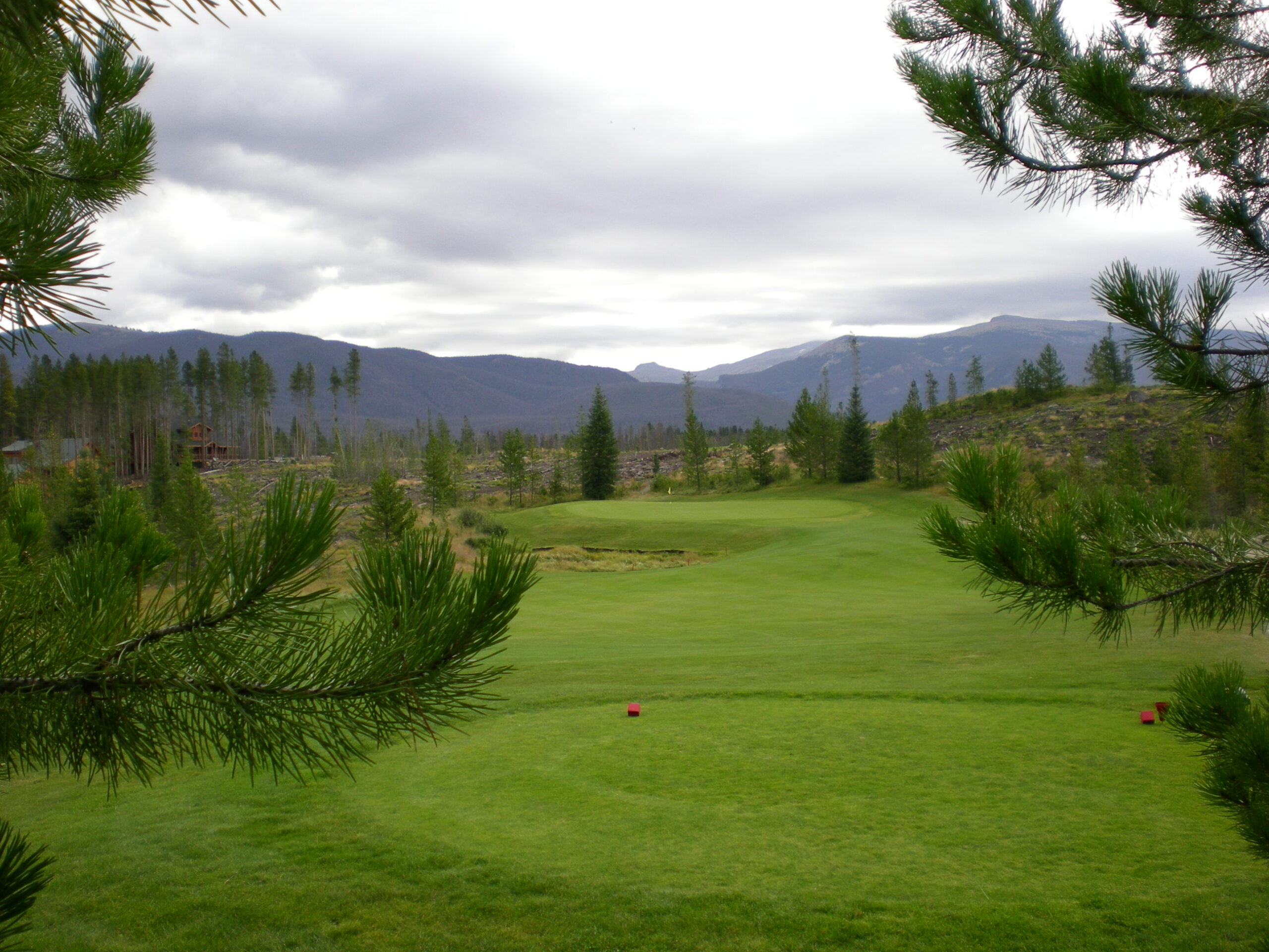 Pine-framed golf green with distant mountain ridges