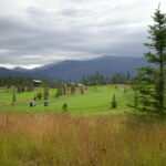 A field with trees and mountains in the background