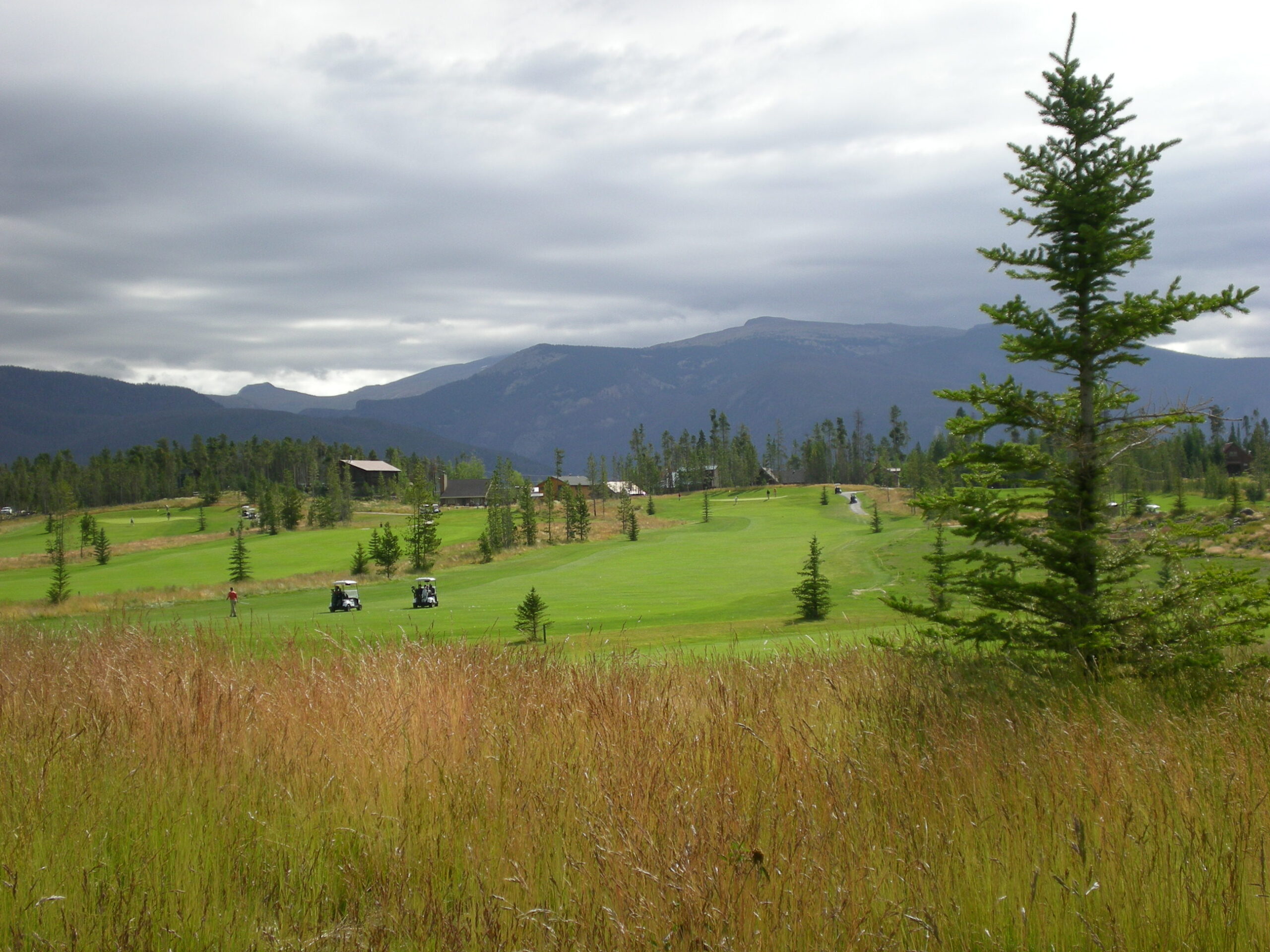 A field with trees and mountains in the background