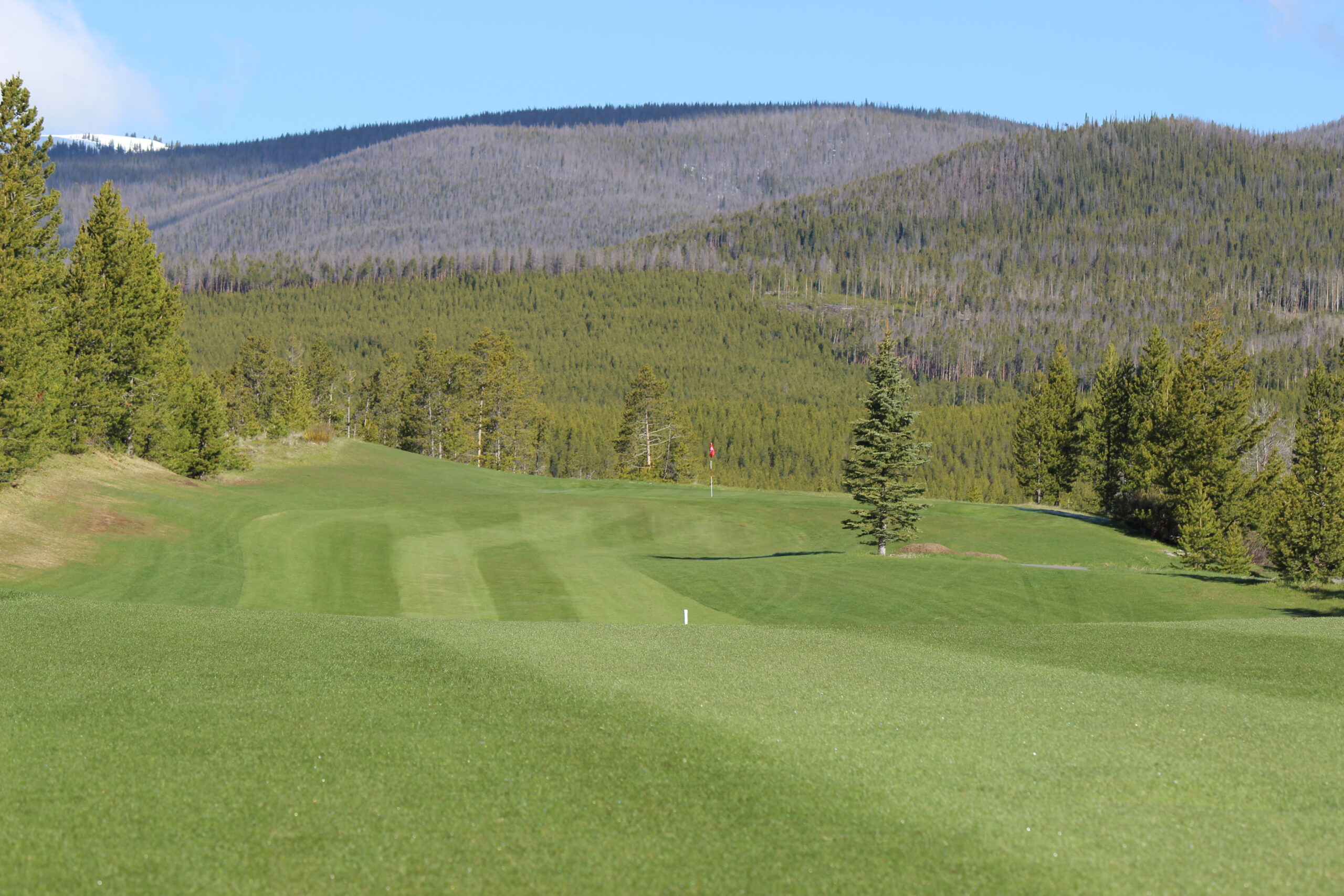 Golf green with red flag amid pine-covered hills