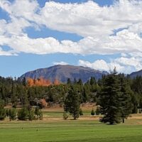 A field with trees and mountains in the background.